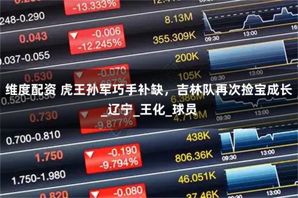 维度配资 虎王孙军巧手补缺，吉林队再次捡宝成长_辽宁_王化_球员