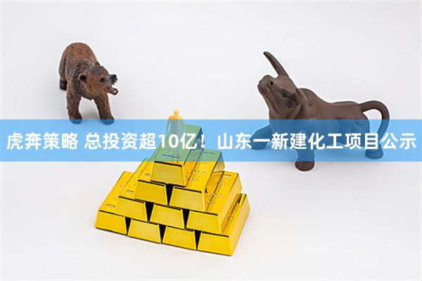 虎奔策略 总投资超10亿!山东一新建化工项目公示