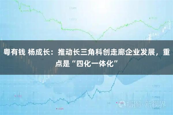 粤有钱 杨成长:推动长三角科创走廊企业发展,重点是“四化一体化”
