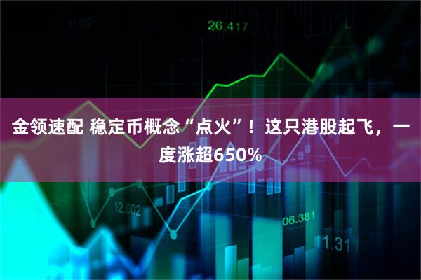 金领速配 稳定币概念“点火”！这只港股起飞，一度涨超650%
