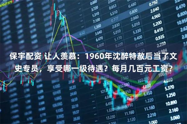 保宇配资 让人羡慕:1960年沈醉特赦后当了文史专员,享受哪一级待遇?每月几百元工资?